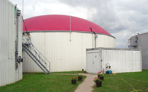 Biogasanlage Viecheln